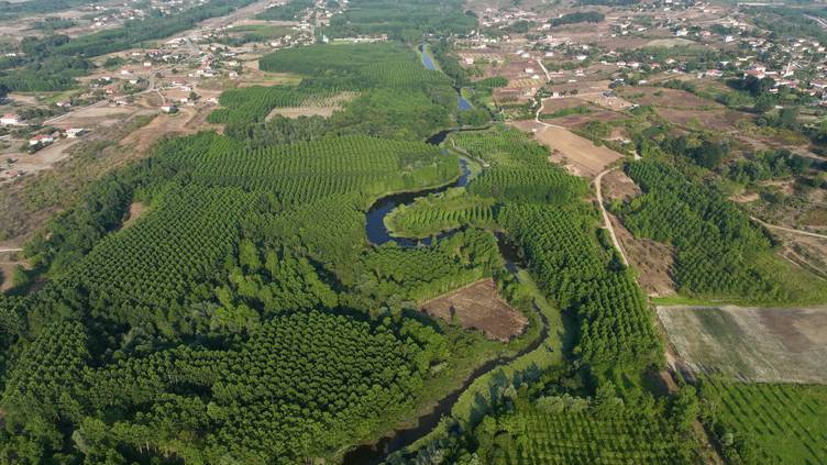 Türkiye’nin en büyük tek parça subasar ormanı 17